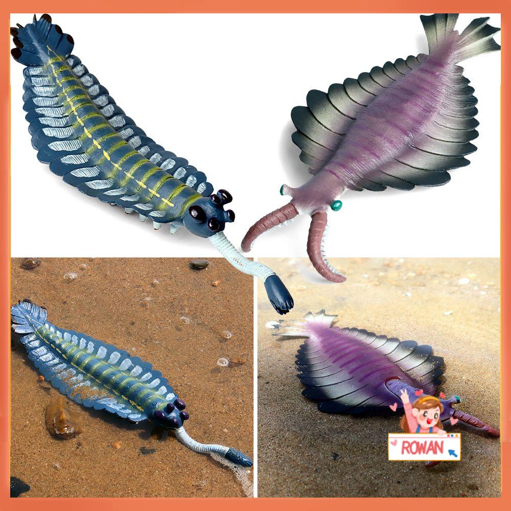 Simulasi Model Organisme Laut Anomalocaris Untuk Koleksi