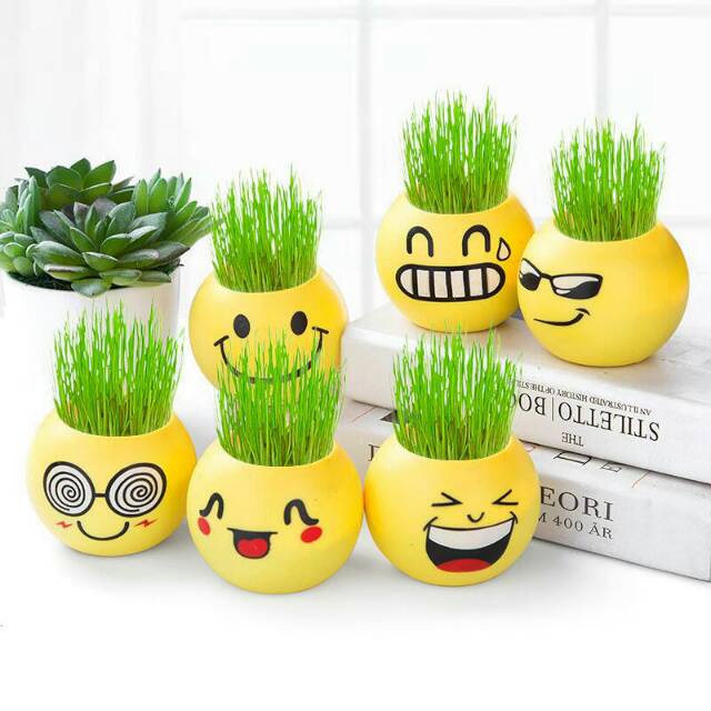 READY STOCK!!Pot Rumput Mini Emoticon/Pot Bunga Mini Plant Kantor Lucu