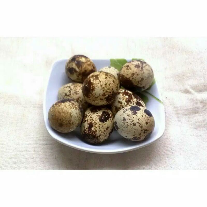 

Telur puyuh 500 gr