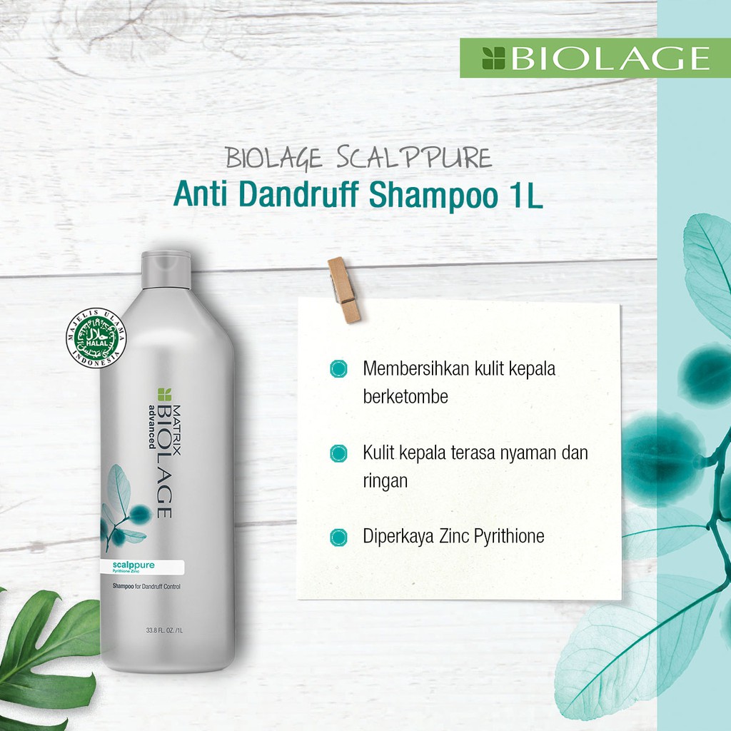 ❤️Glamouroseshop❤️ Matrix Biolage Scalppure Anti Dandruff Shampoo - 1000ML