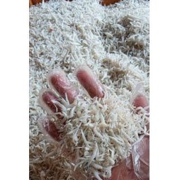 

teri/teri medan/ikan teri 250g