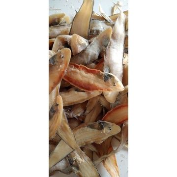 

ikan Lendra