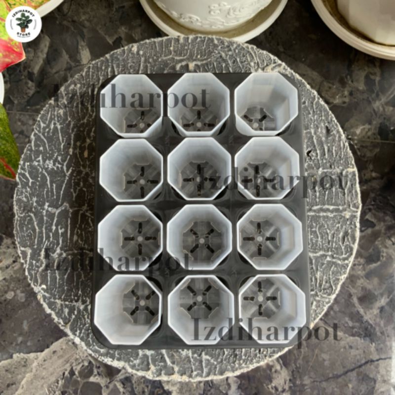 1 set tray + POT NKT PAGODA 5CM BENING TRANSPARAN | tray semai bibit