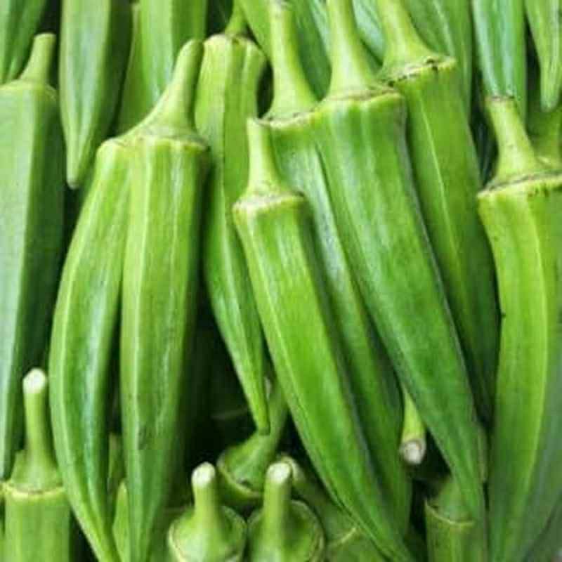 

Okrak/Okra Muda Pilihan 500g