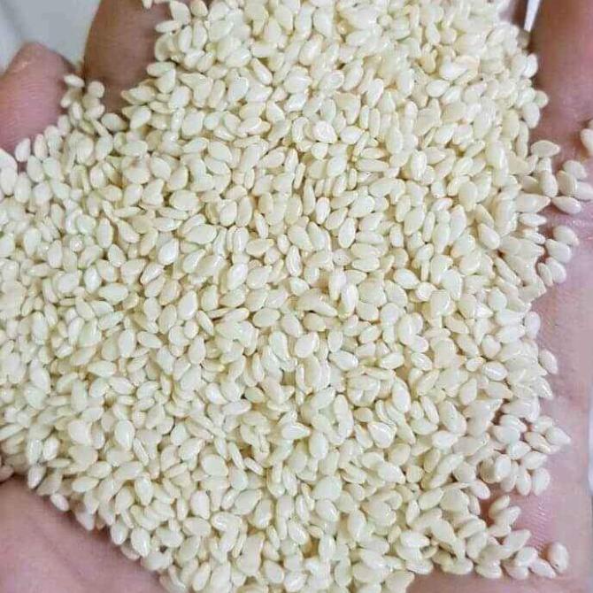 

wijen putih 1 kg