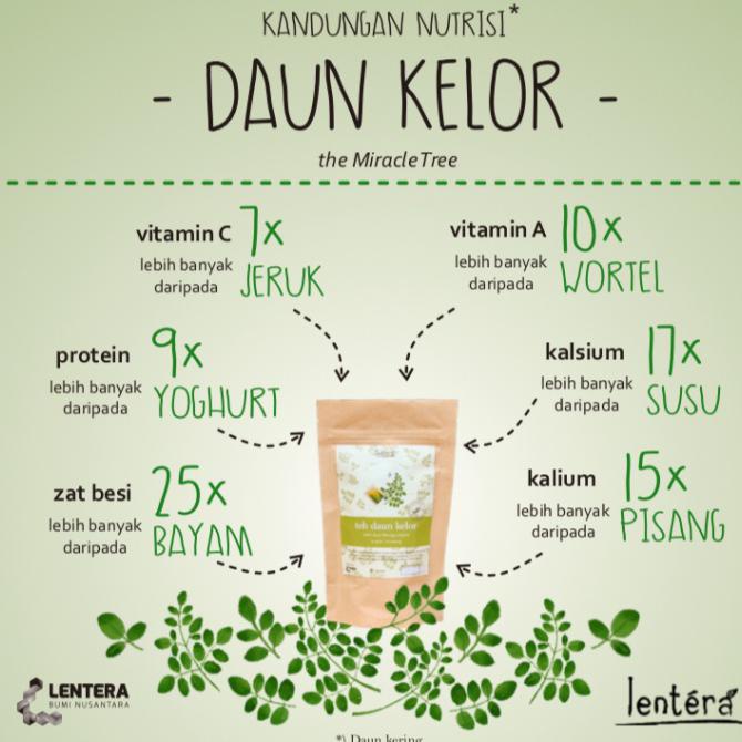 

[[BISA COD]] Lentera - Teh Celup Daun Kelor OBRAL Kode 159
