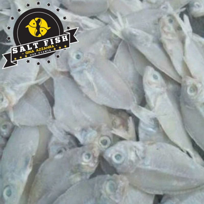 

Ikan Asin Kapas Putih Kering (500 Gram)