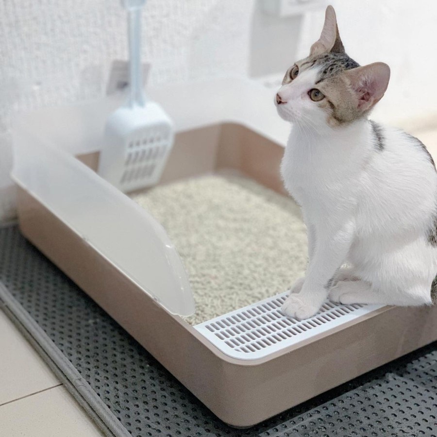 Arthacat spacious litter box - Tempat bak toilet pasir kucing besar