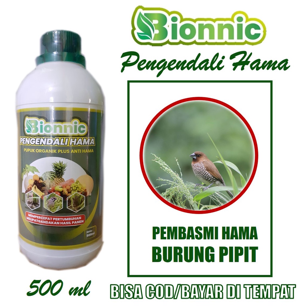 [NEW] BIONNIC 500 ml Racun Burung Pipit/Piyik di Sawah Untuk Padi dan Jagung, Obat Hama Pemakan Padi Burung Pipit/Piyik, Pestisida Insektisida Organik Cair Pengendali Hama Burung Pipit Padi, Pupuk Semprot Padi Lebat Anti Hama Burung Pipit Sawah