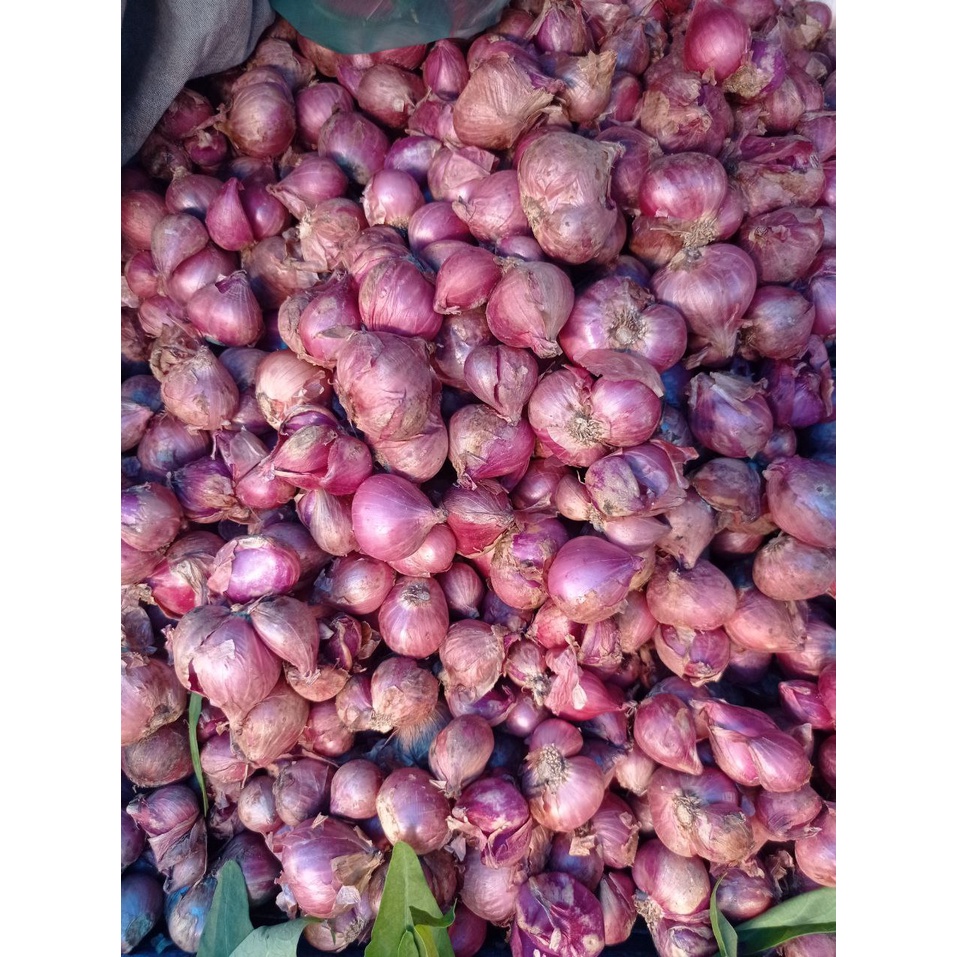 

Bawang Merah