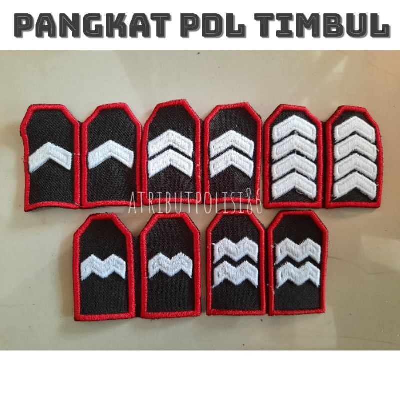 Pangkat PDL polri
