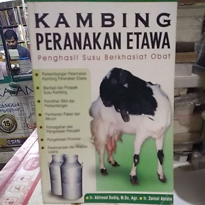 KAMBING PERANAKAN ETAWA.PENGHASIL SUSU BERKHASIAT OBAT