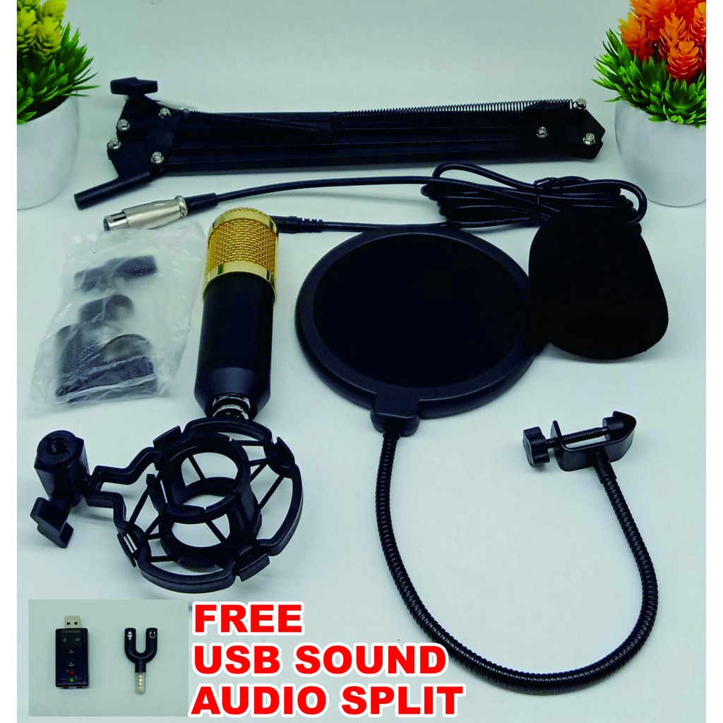 BM800 Microphone Condenser