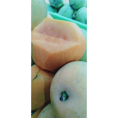 

mangga gedong gincu manis