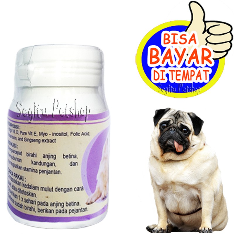 VITAMIN ANJING SUSAH KAWIN PENYUBUR OBAT BIRAHI BEST HORMO DOG SOFTGEL