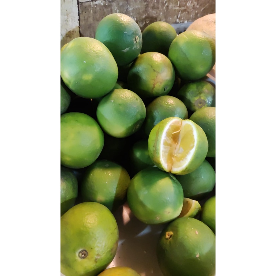 

Jeruk Baby Buah Segar Bandung