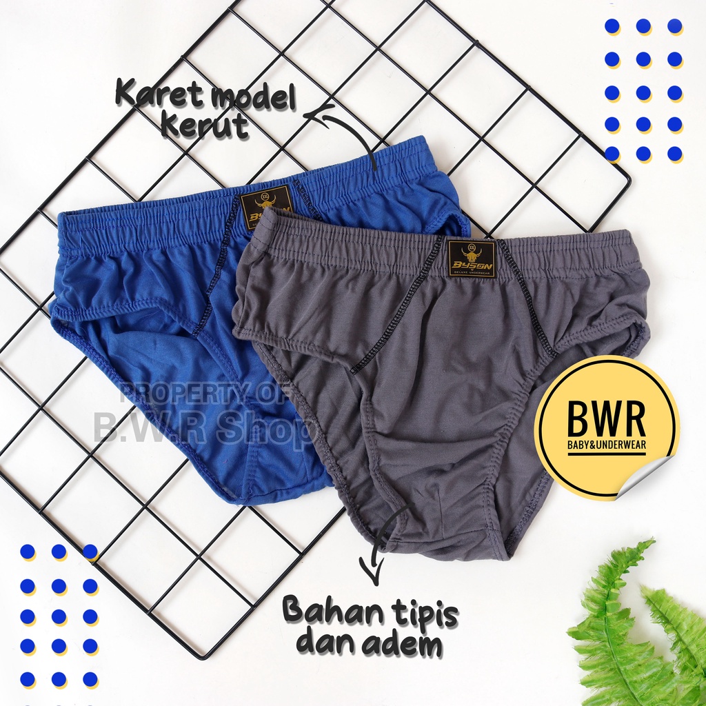 Cd Pria Murah Berkualitas Karet Kerut / Celana Dalam Laki Laki BYSON - Bwr