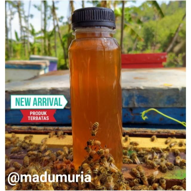 

MADU MELLIFERA PURE RAW HONEY