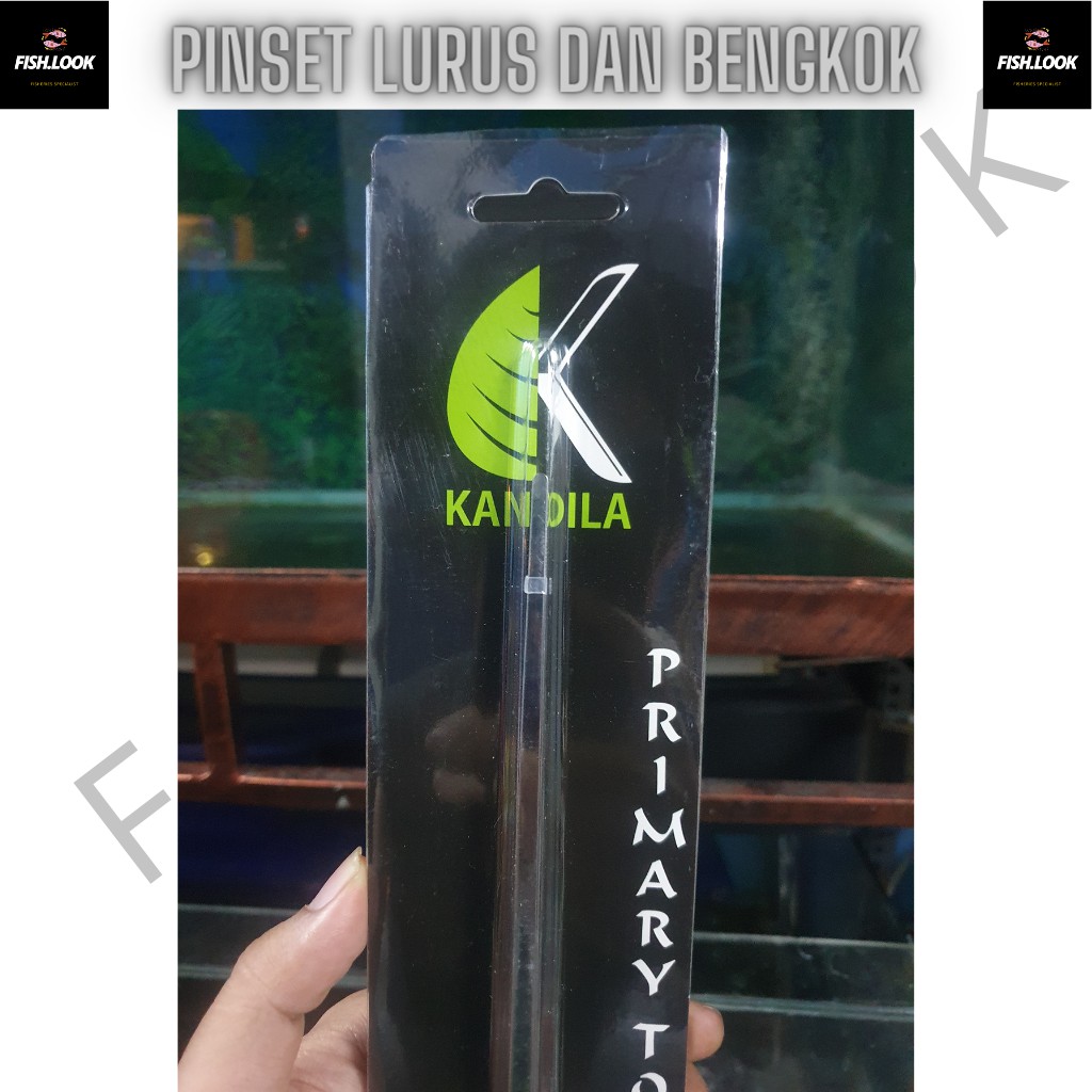 PREMIUM PINSET KANDILA PRIMARY BESAR 27 CM BENGKOK DAN LURUS