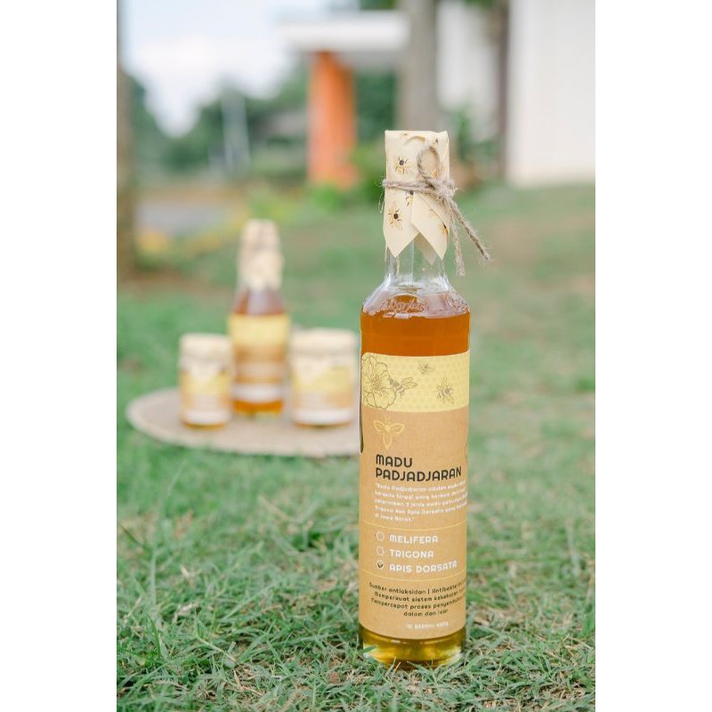 

Madu Asli Murni Madu Hutan Apis Dorsata 600 gram by Madu-Padjadjaran 100% pure natural