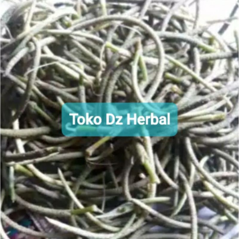 

Jual buah sirih hutan paket 400 gram ready