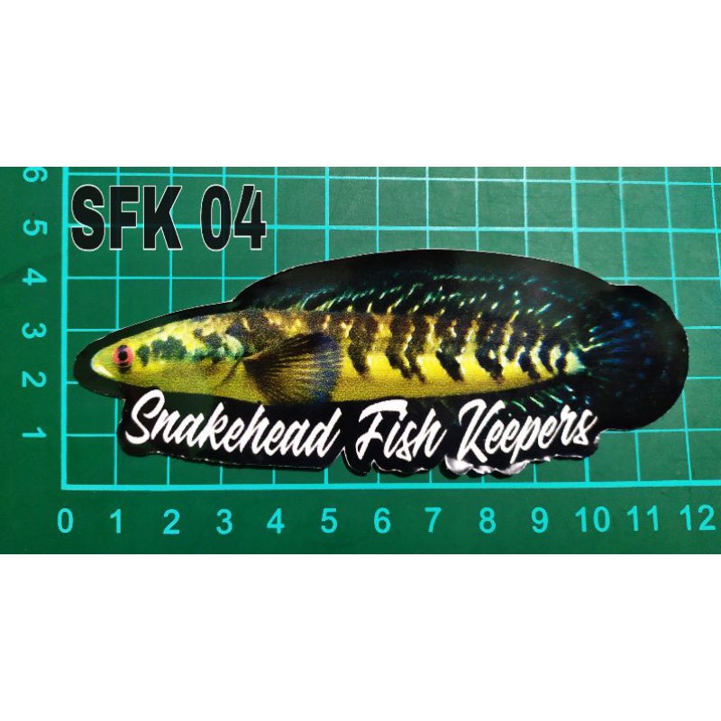 STIKER AQUARIUM UKURAN KECIL IKAN PREDATOR ANTI AIR 10-12cm