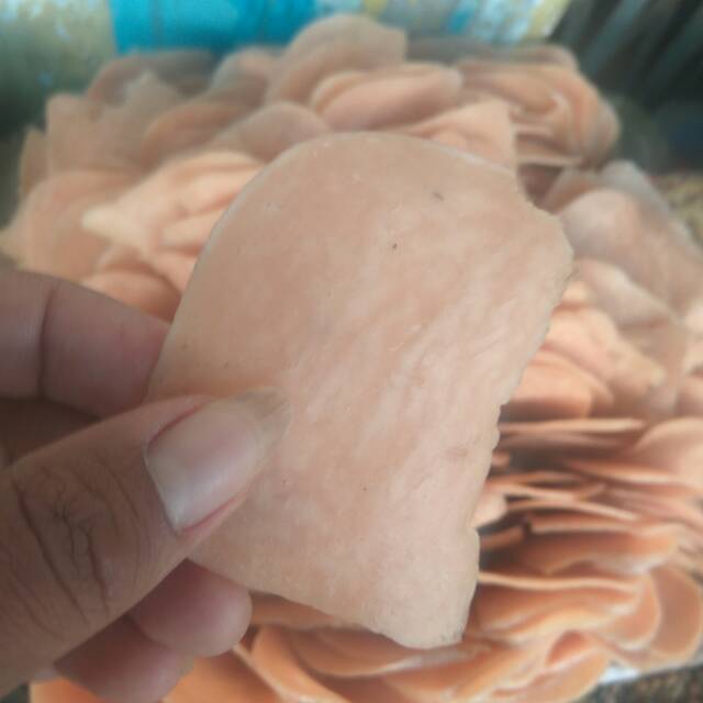 

Krupuk Udang Besar