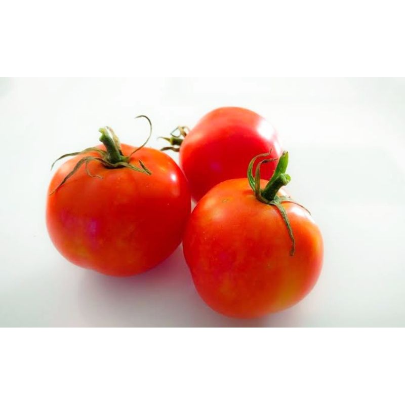 

Tomat Segar Fresh Fruit 500 gr Termurah
