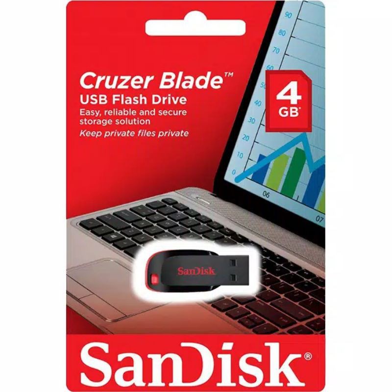 Flash Disk Dandisk 4 GB