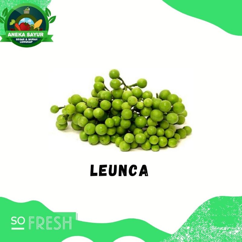

Leunca Segar