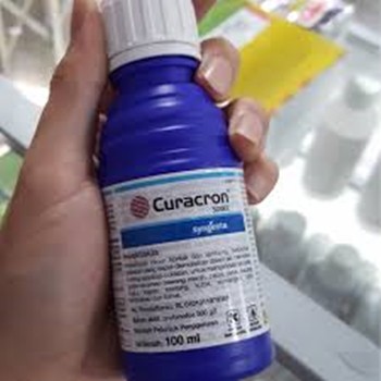 Obat Pembasmi Ulat Daun Dan Lalat Buah Insektisida Curacron 500 Ec Isi 100ml Shopee Indonesia