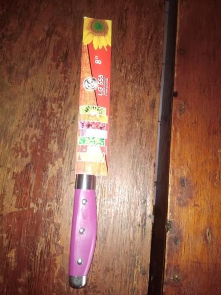 Pisau Dapur Stainless (p2)