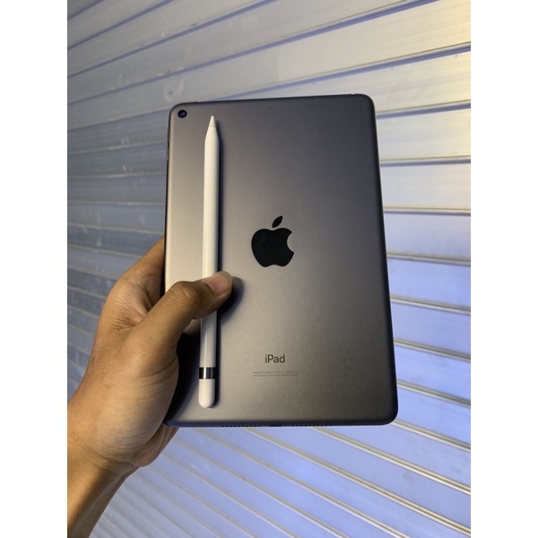 ipad mini 5 256gb second murah