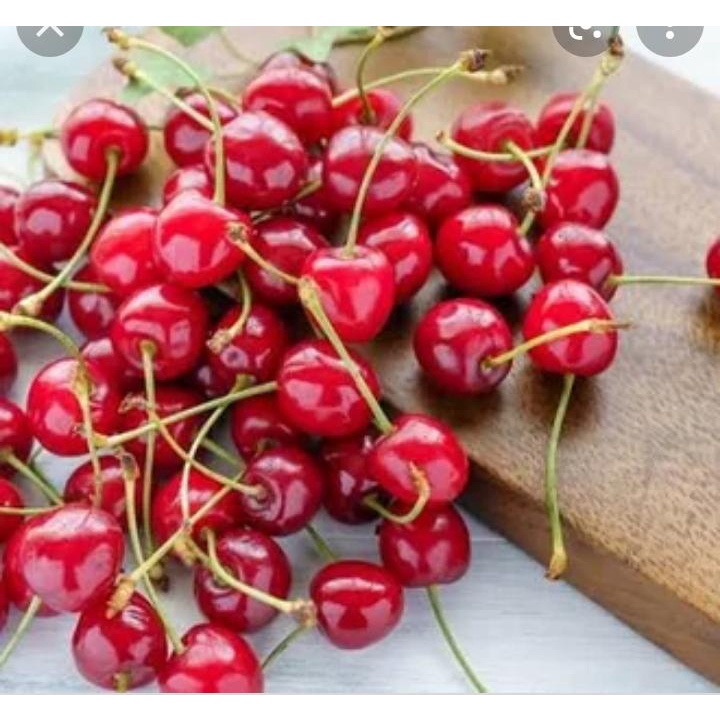 

Cherry Merah Import Fresh Premium 250 grm
