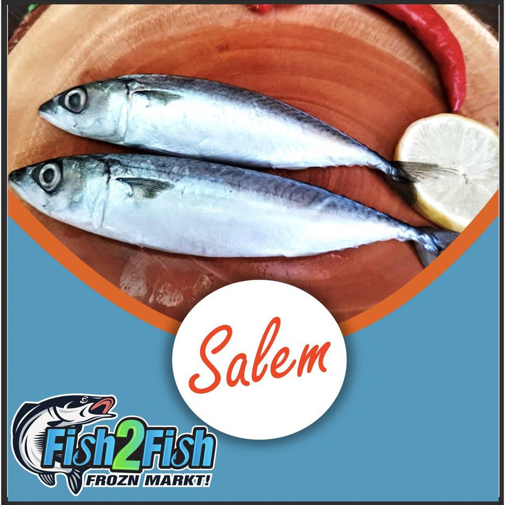 Ikan Salem Frozen Beku
