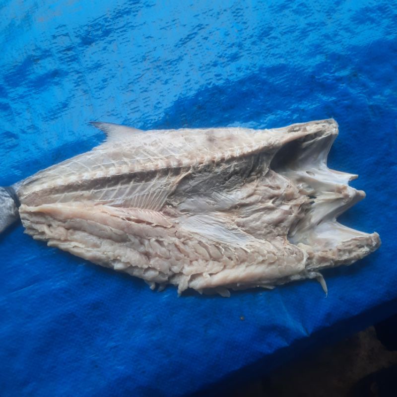 

ikan asin senangin 500g