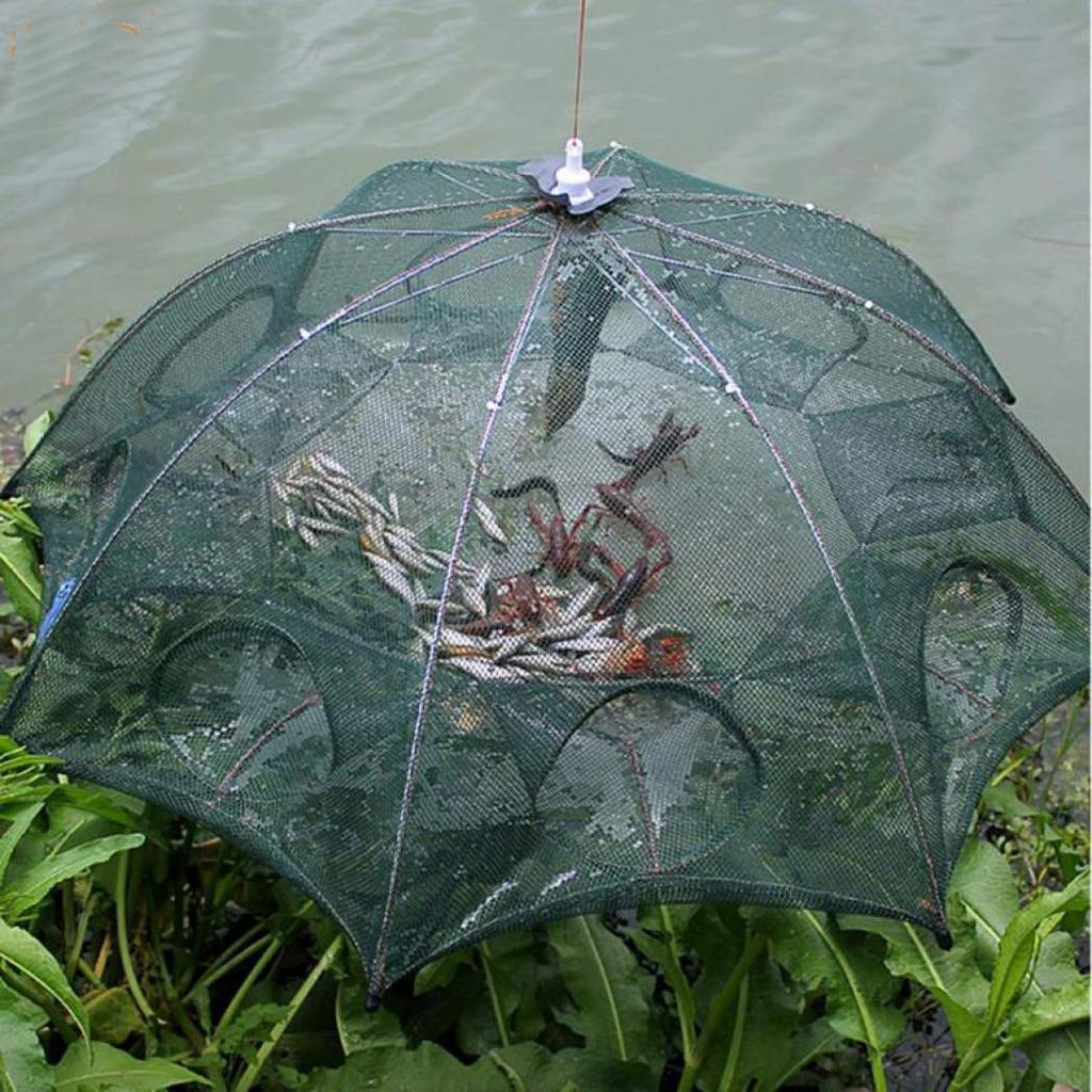 JARING HEXAGONAL 8 Lubang FISHING NET TRAP TELESCOPIC Bubu JALA Pancing Ikan