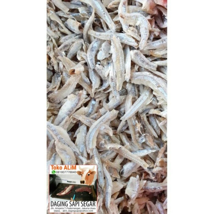 

IKAN KERING TERI ASIN 1/2 KG - SUNDRY FISH TERI SALTY - HALF KG