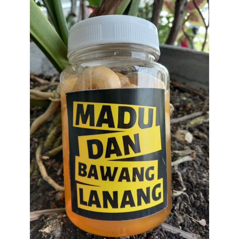 

Madu & Bawang Tunggal/Lanang