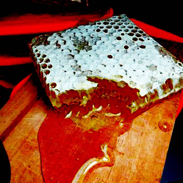 

Promo! Madu asli baru dipanen murah 250 gram