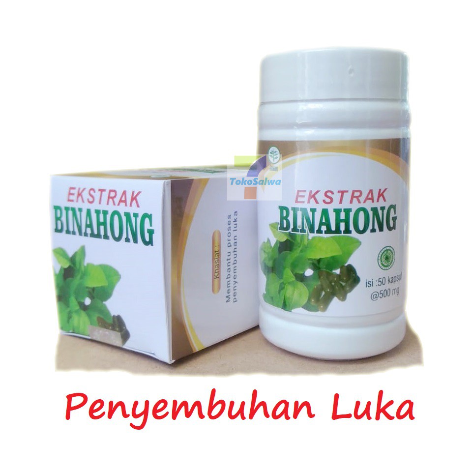 

KAPSUL EKSTRAK BINAHONG 50 KAPSUL AL-MANAR