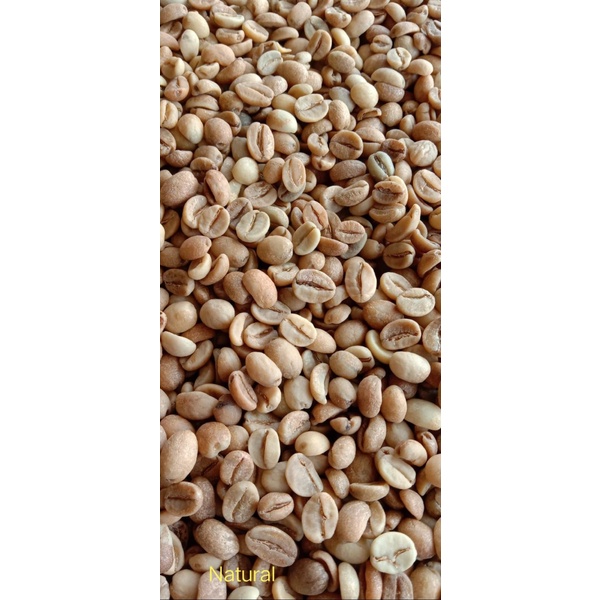 

kopi sugih wangi greean beans Arabika Natural premium Kopi lemahsugih