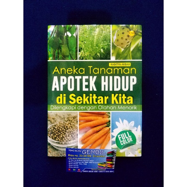 Aneka Tanaman Apotek Hidup Di Sekitar Kita