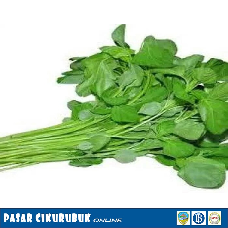 

Sayur Daun Bayam 1 ikat