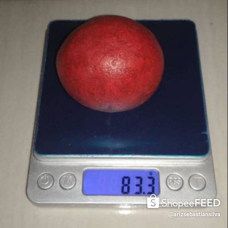 Obat herbal geliga batu landak merah Asli