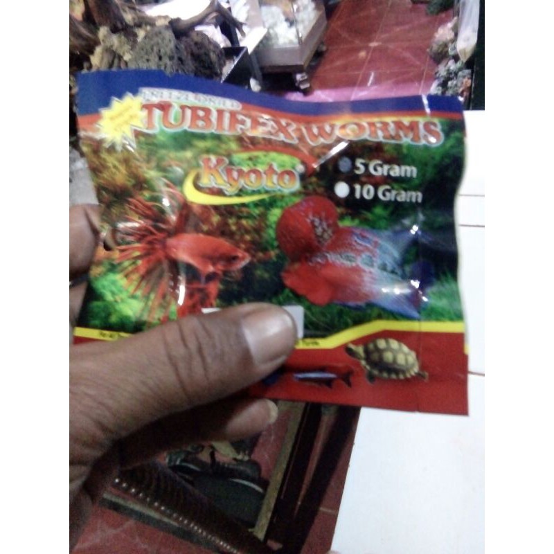 

tubifex worms/cacing kering pakan ikan