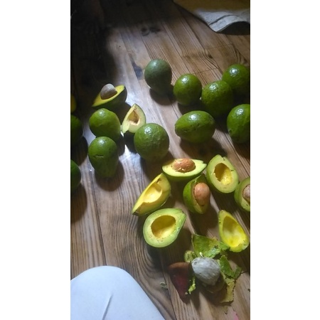 

avocado mentega