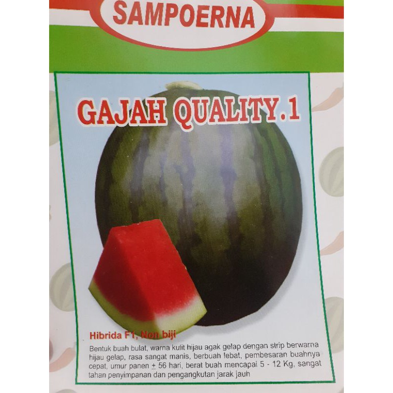 

Benih Semangka Unggul GAJAH QUALITY.1 (BELI 10 BKS GRATIS 1 BKS SANGKUNI)