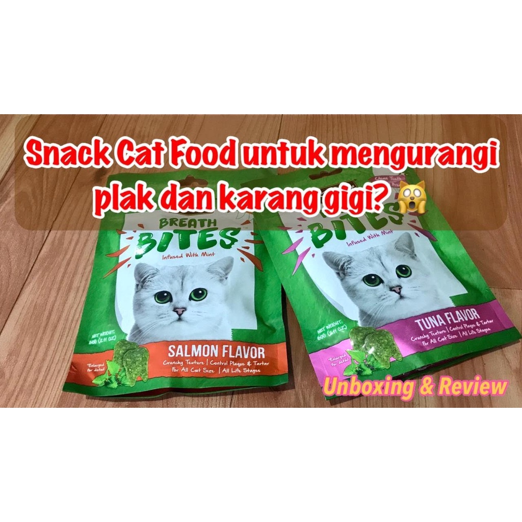BREATH BITES KIT CAT 60GR SNACK KUCING KIT CAT BREATH BITES 60GR - SNACK KUCING CEMILAN KUCING PEMBERSIH GIGI KUCING SNACK KUCING PENGHILANG BAU MULUT KITCAT BREATH BITES-2