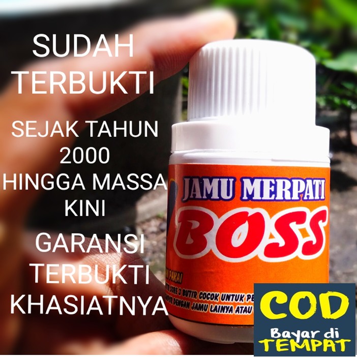 ISI 100 BUTIR JAMU MERPATI KOLONG JAMU BURUNG MERPATI BALAP JAMU BURUNG DOPING BURUNG